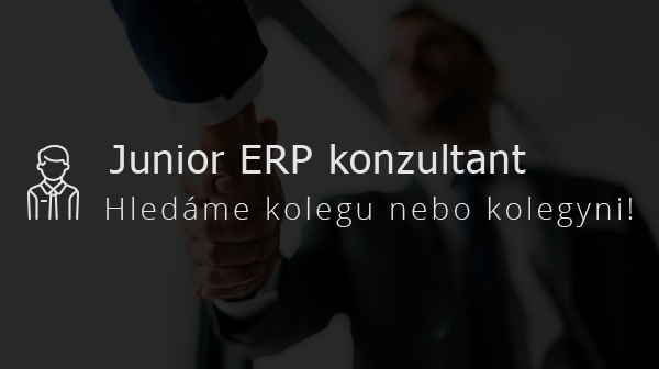 Junior ERP konzultant